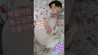 고양이와 놀고싶은 아기와 절대 반응하지않는 고양이 #육아 #고양이집사 #아기와고양이