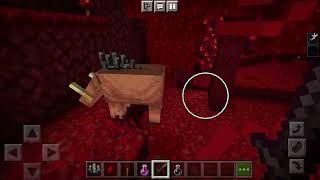 Can the warden spawn in the nether or end?