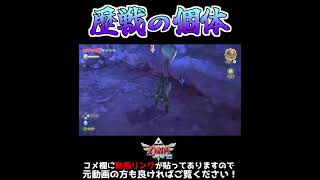 １匹だけ別次元【ゼルダの伝説 スカイウォードソードHD】