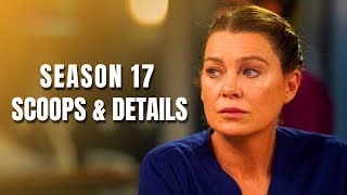 Grey's Anatomy season 17 Spoilers & Details Season 17 Updates So Far