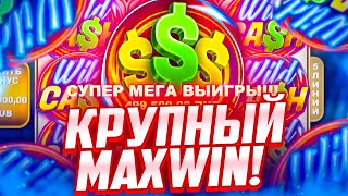 СЛОВИЛ ПО ЖИРНЮЩЕЙ СТАВКЕ И ВЫБИЛ МАКСВИН! ЗАНОСЫ НЕДЕЛИ В Wild Cash!