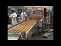 დონატების საწარმოო დანადგარი • donuts making machine