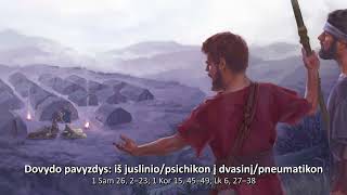 Dovydo pavyzdys: iš juslinio/psichikon į dvasinį/pneumatikon | br. Paulius Vaineikis OFM