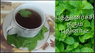 புதினா டீ மற்றும் பயன்கள் | mint tea and benifits | how to prepare pudina tea | herbal tea