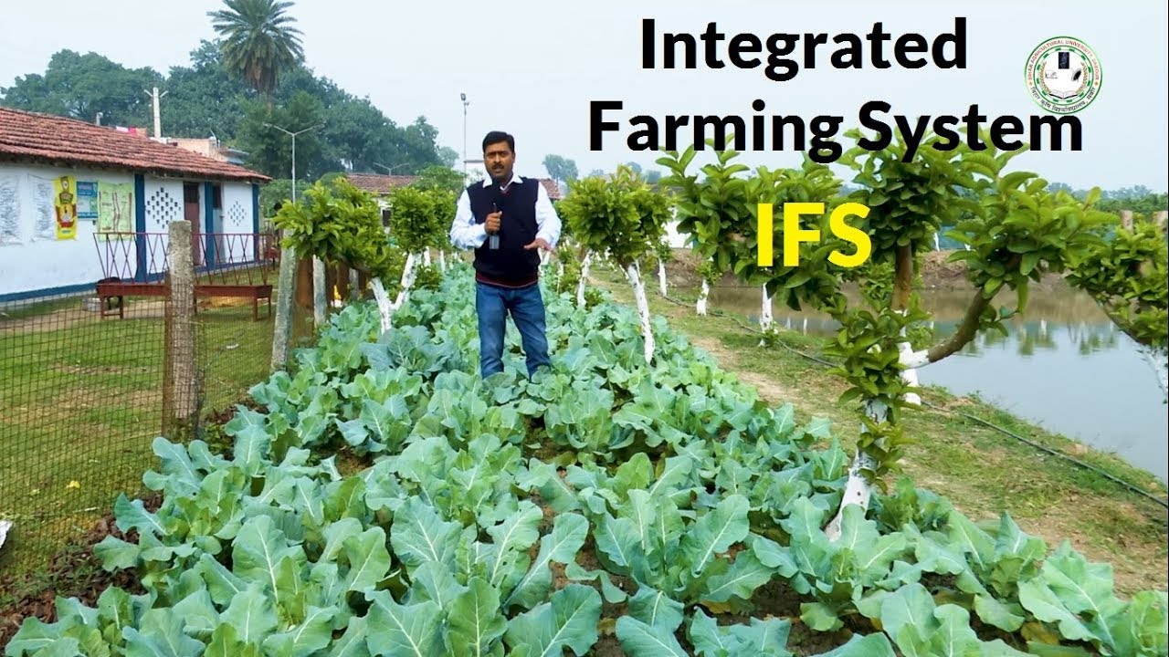 Integrated Farming System (IFS) | समेकित कृषि प्रणाली : वर्ष भर आमदनी ...