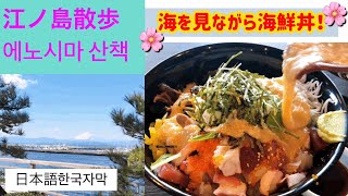 【江ノ島散歩】海を眺めながら海鮮丼に舌鼓！プチ旅行に最高！