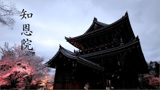 京都　知恩院　夜間特別拝観　前編　　　Kyoto Chion-in Night Special Visit Part 1