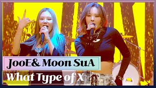 4k Jooeandmoon Sua - What Type Of X Jessi Cover