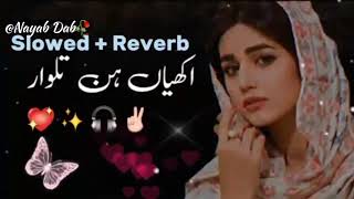 Akhiyan hin tarwar [slowed reverb new saraiki song 2023🎧🎶✨🥀❤️❤️🥀