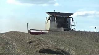 Two Claas Combines Part 1 of 3