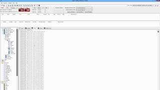 Basic Debugging Techniques in Seer