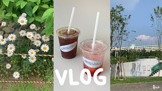 [허접함이 매력인 vlog] 한여름의 일상, 브런치 먹고 한강 가고 뮤지컬 보고 강아지랑 놀고 강화도에 여행가고 술도 마시는 대학생의 그림 일기(?) 브이로그