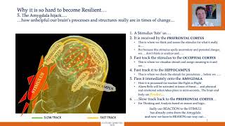 The Amygdala Hijack and Viktor Frankl's space