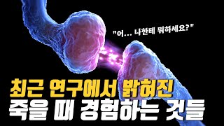 죽을 때 무엇을 경험할까? 최근 미 의학계가 밝혀낸 '죽음'에 대한 충격적인 사실들