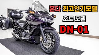 #인기모델 하루에도 몇번 있냐고 물어보는 기종 DN-01판매합니다 남녀 키작남도 OK!