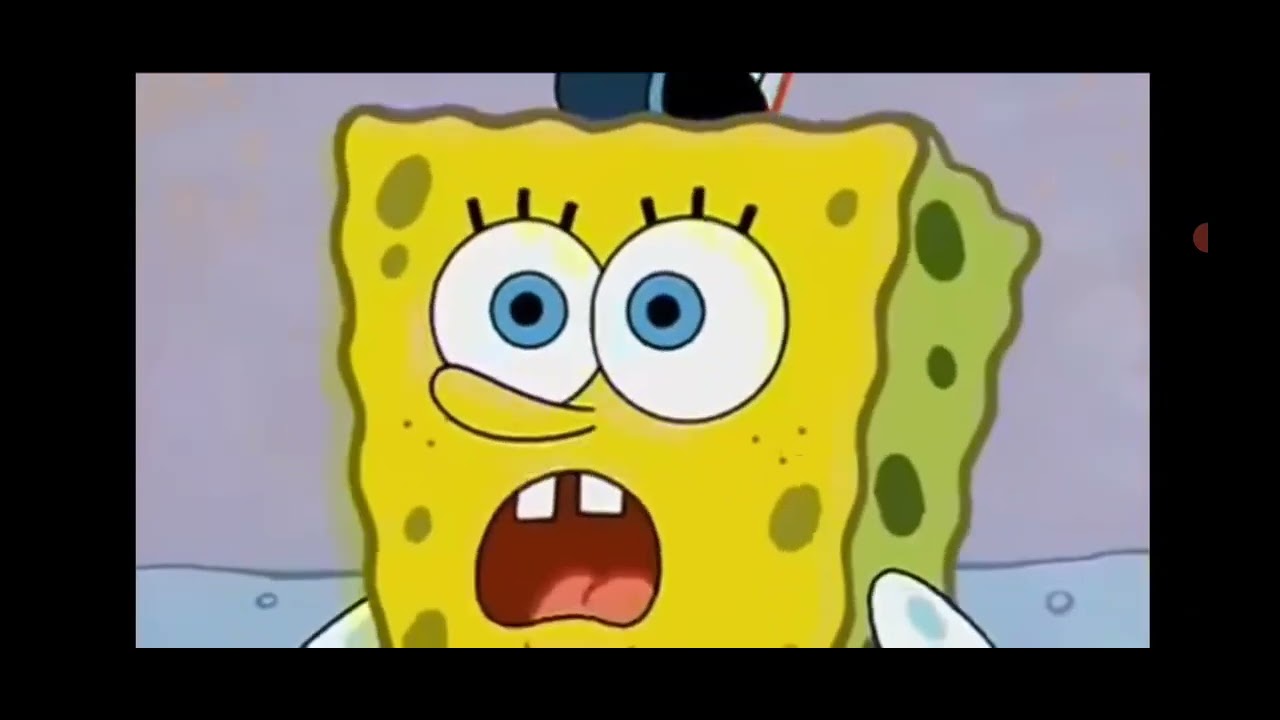 Everytime Squidward Quits Everything Youtube