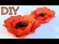 DIY Paper Poppy Flower - How To Make A Poppy From Paper