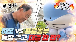 ★600평 딸기 농장★에 팔려온 썰 푼다 :3 [EP.31]