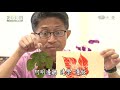 【草根菩提環保走透透】20211112 苗栗園區四條龍