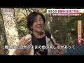 紅葉の名所・中津川渓谷（福島県・裏磐梯）カエデやブナなどが色づき美しいグラデーションに