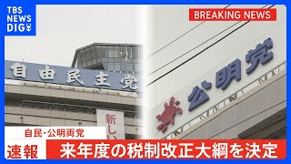 【速報】来年度の税制改正大綱が決定　法人税は4～4.5％↑　所得税は復興目的を1％転用　たばこ税は1本3円↑　時期は先送り｜TBS NEWS DIG