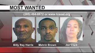 Tuscaloosa's Most Wanted: Sept. 29, 2021