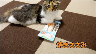 猫に焼きささみをあげてみた。