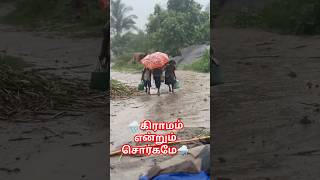 சொர்க்கமே என்றாலும் நம்ம ஊரை போல வருமா #tamil #shortsfeed #shortvideo #rain