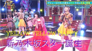 新乃木坂スター誕生　#菅原咲月　#小川彩　YELLOW YELLOW HAPPYショート　ポケットビスケッツ