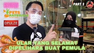 Kedai jual ular !? | Review kedai haiwan eksotik Pets Naturale Dpulze Cyberjaya | Episode 26