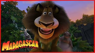 DreamWorks Madagascar | Bana bir saniye izin verirmisiniz | Madagaskar