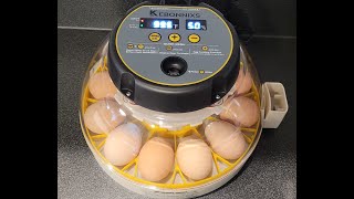 Incubating Chicken Eggs! Step-by-Step.  Using The Kebonnixs Egg Incubator (My Initial Review). 2023