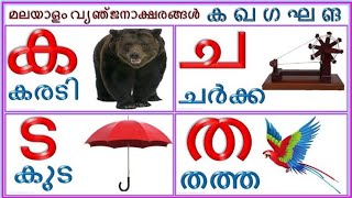 വ്യഞ്ജനാക്ഷരങ്ങൾ / How to Learn Malayalam Consonants / Malayalam Aksharamala / Malayalam Alphabet