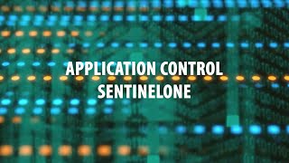 Q\u0026A - Application Control - What is SentinelOne?