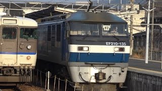 【4K】JR山陽本線　EF210-135号機牽引　1050レ貨物列車　糸崎駅通過