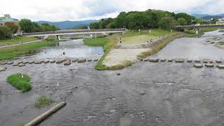 荒神橋から合流点　出町の飛び石　京都鴨川の風景