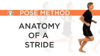 Improve your Running Form - Anatomy of a Stride