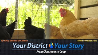 From Classroom to Coop