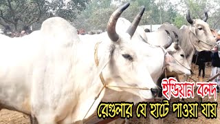 @১৪ ডিসেম্বর।। বিগ সাইজের বলদ রেগুলার যে হাটে পাওয়া যায়  #গ্রাম_বাংলার_হাট_বাজার #বড়বাড়ির_হাট