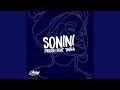 Sonini