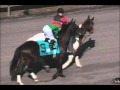 Black Onyx (#1): 2013 Kentucky Derby Profile