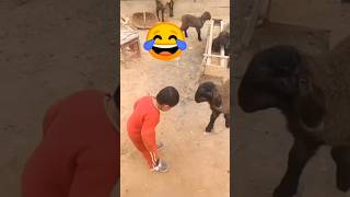 funny video 🤪//comedy video//#shorts #emotional #fun #funny #comedy #entertainment #viral