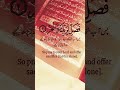 surah kausar #islamic #youtubeshorts #viral #Allahﷻ #muslim #shorts