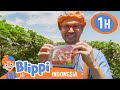 Belajar Makan Sehat Di Peternakan Tanaka | Blippi Bahasa Indonesia - Video Anak | Petualangan Blippi