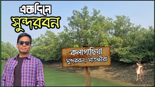 সুন্দরব‌নের কলাগা‌ছিয়া প‌য়ে‌ন্টে এক‌দিন | Sundarbans Day Tour 2025 | সাতক্ষীরা, বাংলা‌দেশ