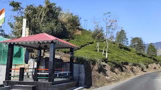 Darjeeling TEESTA VALLEY TEA GARDEN