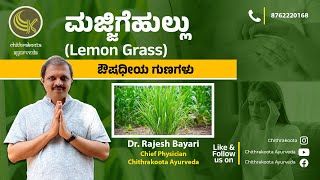 ಮಜ್ಜಿಗೆ ಹುಲ್ಲಿನ ಔಷಧೀಯ ಗುಣಗಳು I Benefits of Lemon grass I Chithrakoota Ayurveda I Dr. Rajesh Bayari