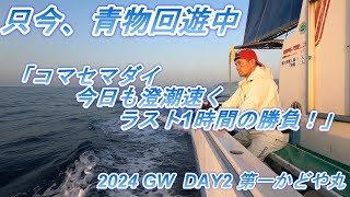 2024ＧＷ　コマセマダイ　DAY2