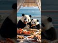 panda pandafamily cutepanda pandalove funny