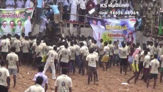 kokkudi jallikattu 2014  part3